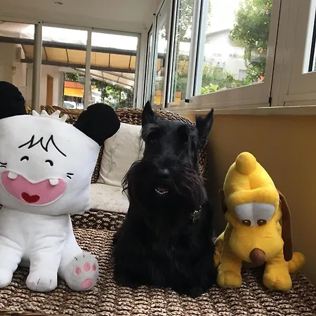 Stella Alpina Ρίμινι