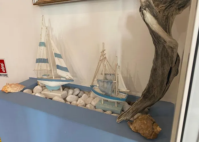 Stella Alpina רימיני