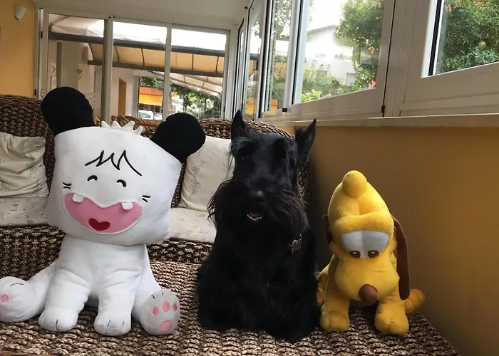 Stella Alpina רימיני