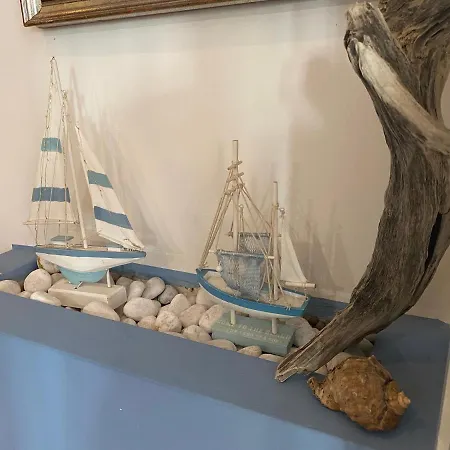 Stella Alpina Rimini