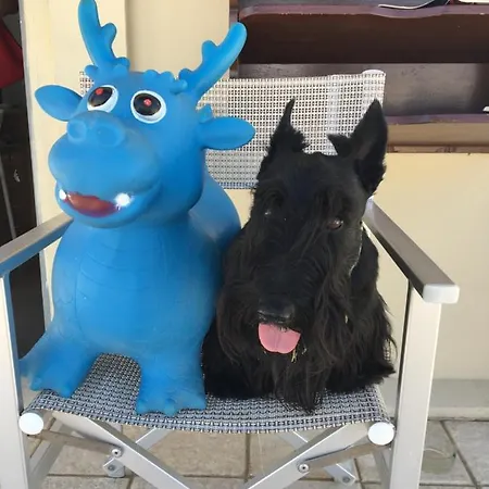 Stella Alpina Hotel 3*