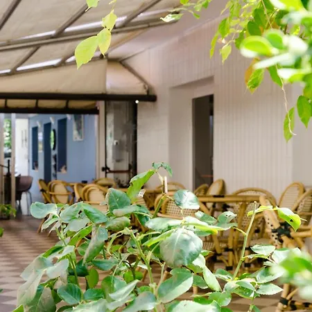 Stella Alpina 3* Rímini