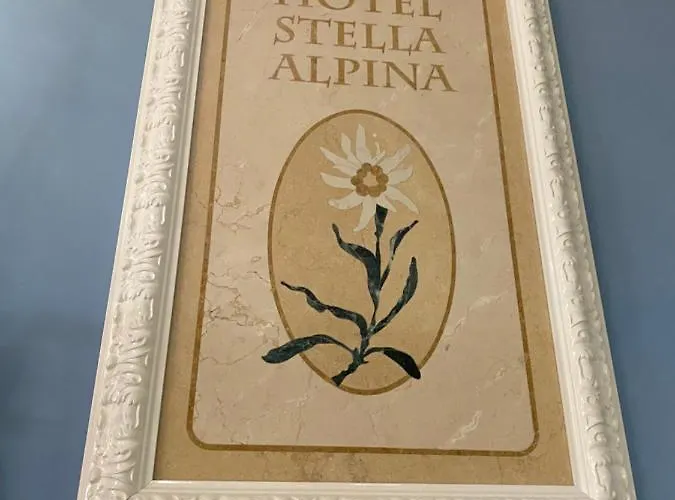 Stella Alpina