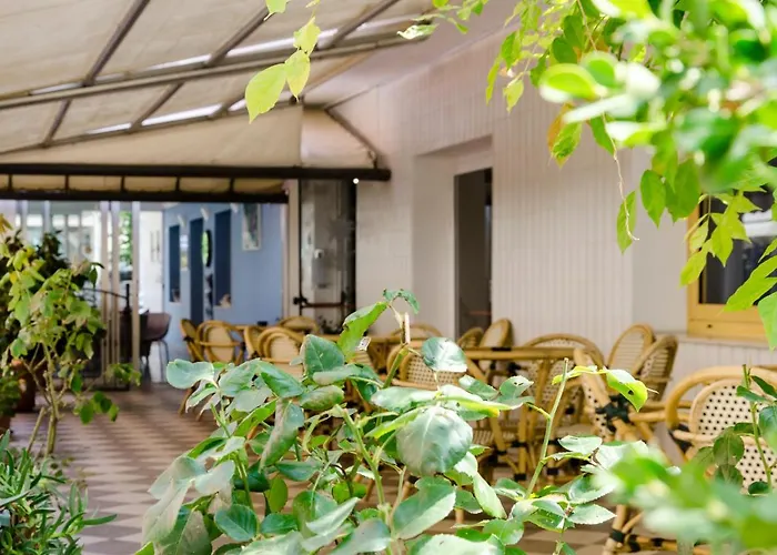 Stella Alpina 3* 里米尼