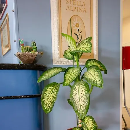 Hotel Stella Alpina 3*